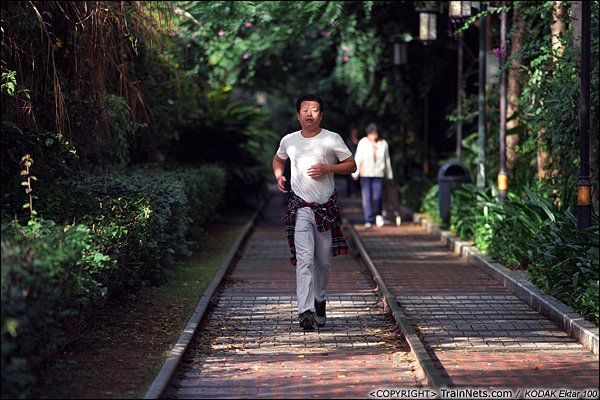 2013年12月。厦门铁路公园。 一位市民在绿树环绕中的铁路上晨跑。（E3006）