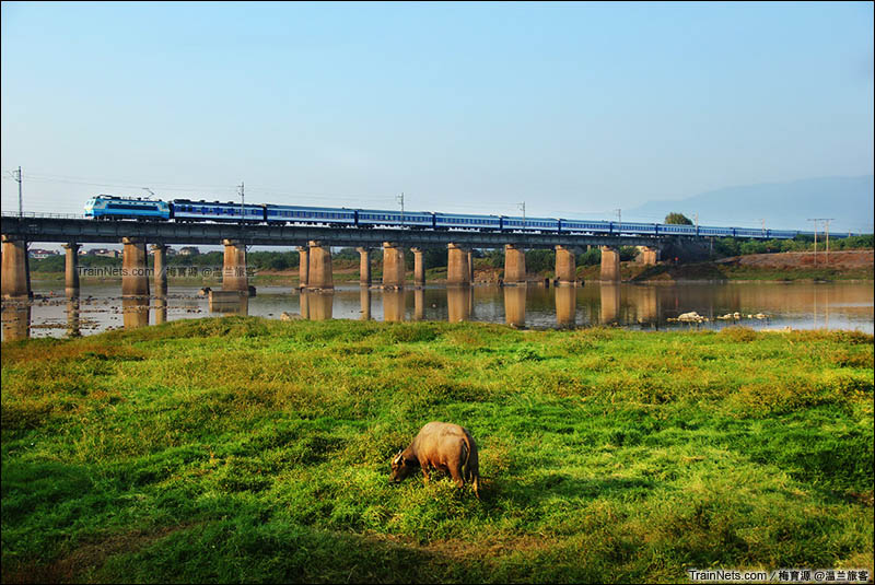 2014年10月24日。浙江金华。沪昆线。SS8牵引全蓝的T211次（上海南-深圳）列车驶过金华江。（图/梅育源 @温兰旅客）