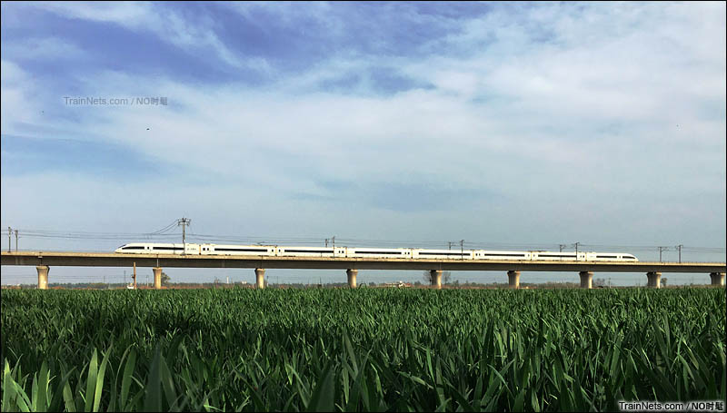 2016年4月，石家庄红旗大街。京广高铁石武段，开往春天的高铁。（图/NO时髦）