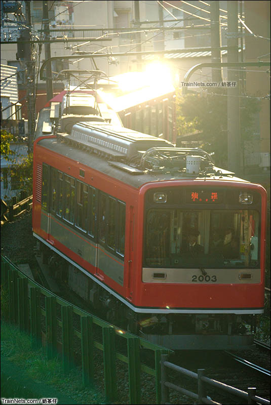 2015年11月3日。下午，日本箱根登山铁道。一列下山列车在夕阳下正通过80‰坡度，逐渐减速驶入终点箱根汤本站。（图/奶茶仔）
