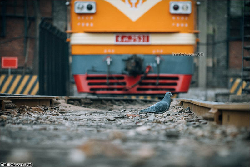 2016年3月28日。宁静的西直门折返段。（图/天船）