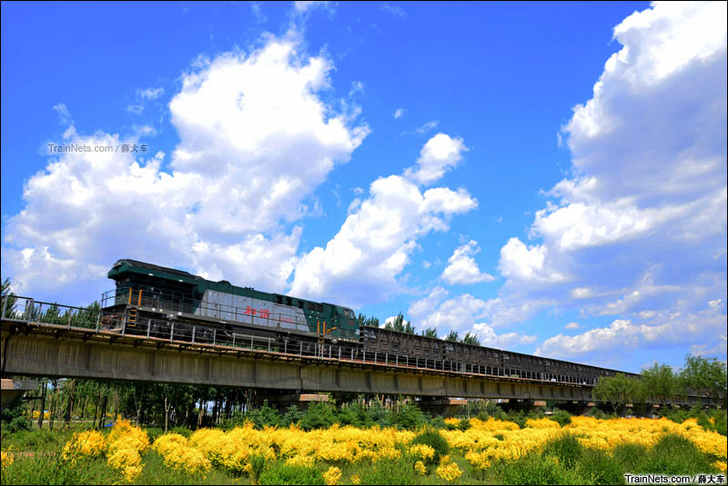 2016年6月1日。吉林长春。HXN5反向牵引货列通过龙北联络线伊通河大桥。（图/薛大车）