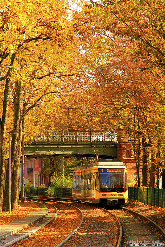 2016年10月29日。金色秋天的卡尔斯鲁厄有轨电车。（图/袁东方）
